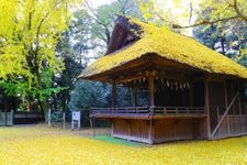 Tourist destination images of Tamashiki Jinja Shrine(1)