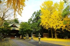 Tourist destination images of Tamashiki Jinja Shrine(4)