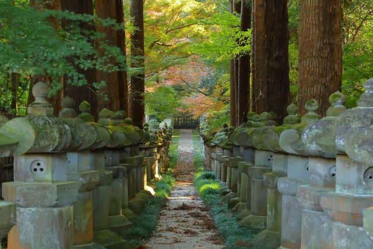 Hirabari-ji Temple 2