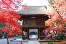 平林寺の観光地画像(5)