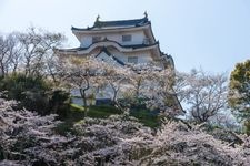 Tourist destination images of Chiba Prefectural Central Museum, Ōtaki Castle Branch(2)