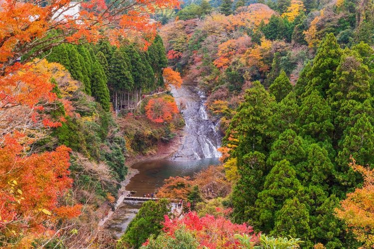 Awamata Falls