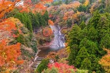 Tourist destination images of Awamata Falls(1)