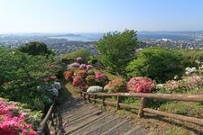 Tourist destination images of Tateyama Castle(2)