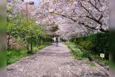 Tourist destination images of Tateyama Castle(3)