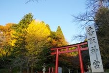 Tourist destination images of Katori Jingu(4)