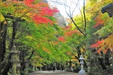 Tourist destination images of Katori Jingu(3)