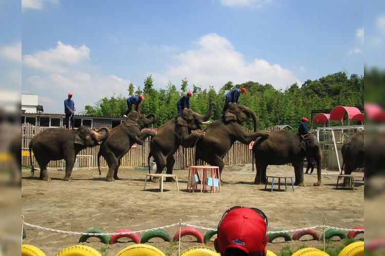 Ichihara Zoo Park