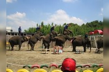 Tourist destination images of Ichihara Zoo Park(1)