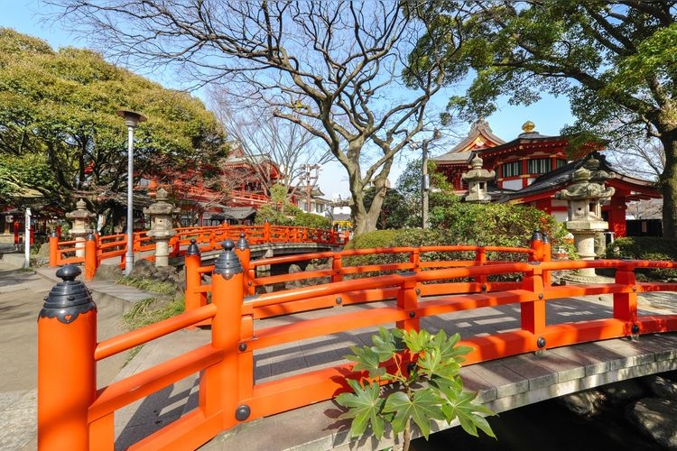 Tourist destination images of Myōken Hōgū Chiba Jinja Shrine(3)