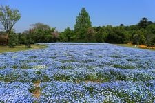 Tourist destination images of Shimizu Park(6)