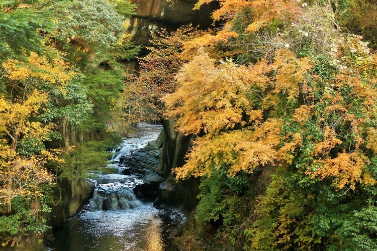 Tourist destination images of Nogō no Taki (Nogo Waterfall)(2)