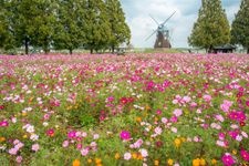 Tourist destination images of Akebono no Yama Agricultural Park(2)