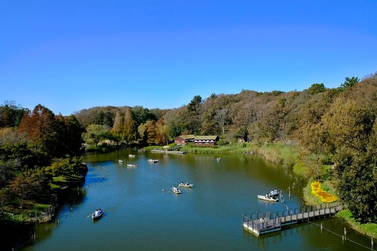 Funabashi Andersen Park 2