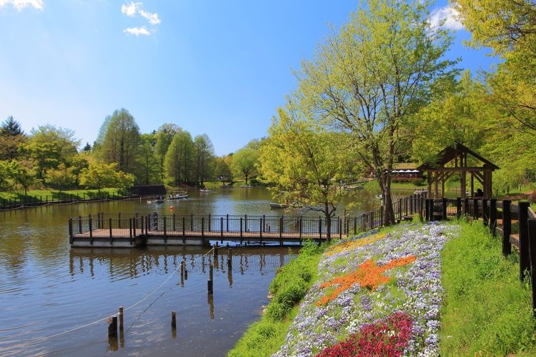 Funabashi Andersen Park 4