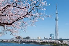 Tourist destination images of Tokyo Skytree(2)