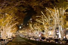 Tourist destination images of Harajuku & Omotesando (Takeshita Street)(4)