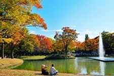 Tourist destination images of Yoyogi Park(2)