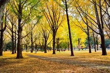 Tourist destination images of Yoyogi Park(7)