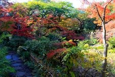 Tourist destination images of Nezu Museum(4)