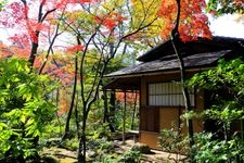 Tourist destination images of Nezu Museum(5)