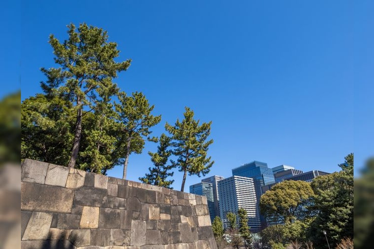 Tourist destination images of Edo Castle Ruins(3)
