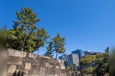 Tourist destination images of Edo Castle Ruins(3)