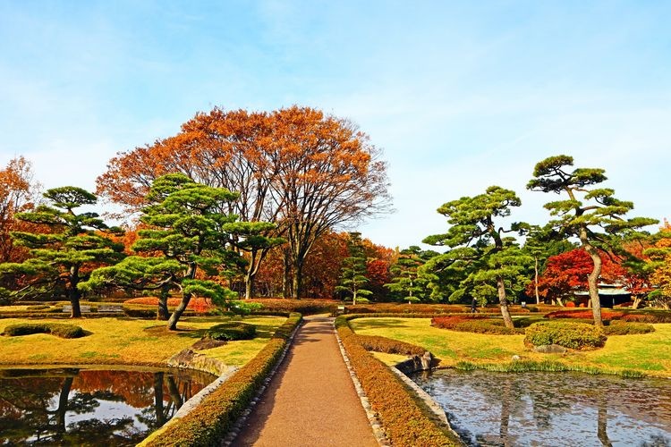 Edo Castle Ruins