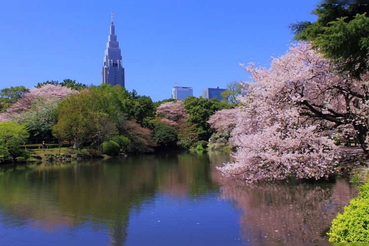 Shinjuku Gyoen National Garden