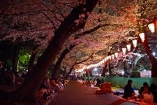 Tourist destination images of Ueno Park (Ueno Onshi Koen)(1)