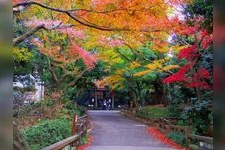 Tourist destination images of Ueno Park (Ueno Onshi Koen)(2)