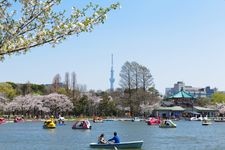 Tourist destination images of Ueno Park (Ueno Onshi Koen)(4)