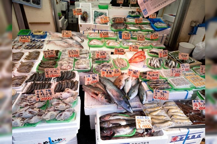 Tourist destination images of Ueno Ameyoko Market(3)