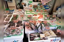 Tourist destination images of Ueno Ameyoko Market(3)