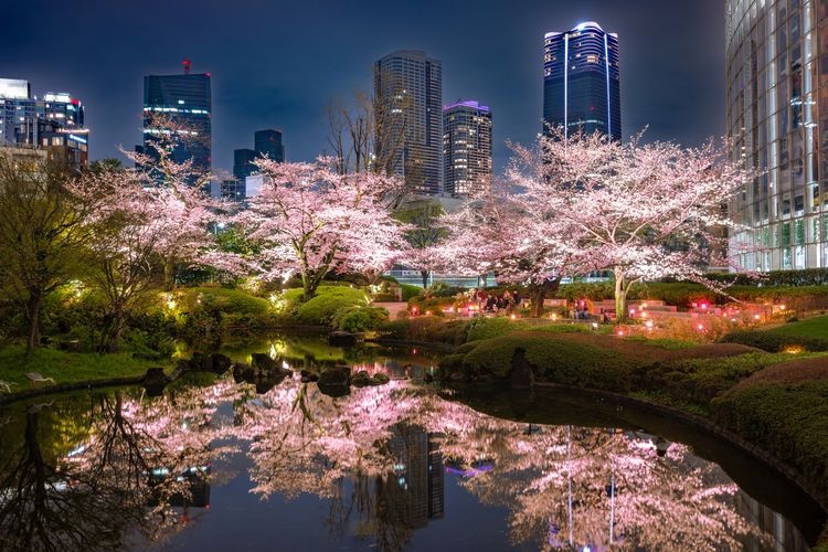 Mori Garden (Roppongi Hills)