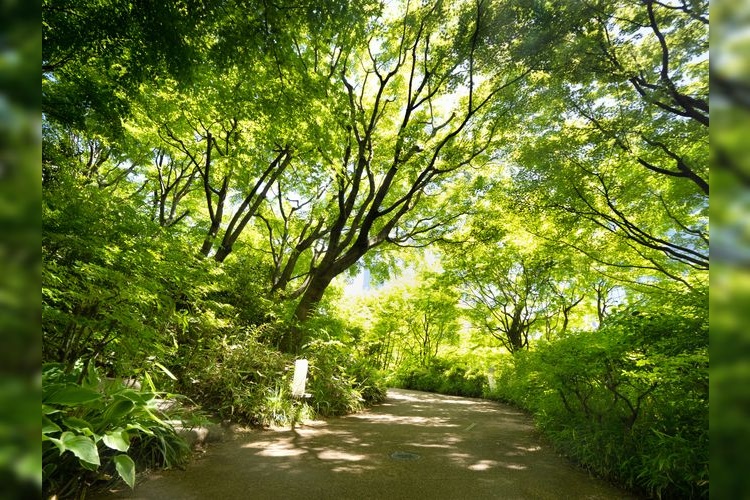 Mori Garden (Roppongi Hills) 3