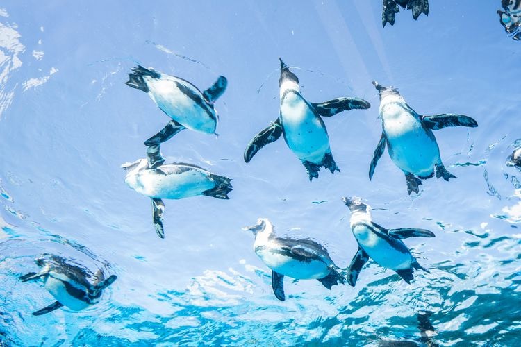 陽光水族館