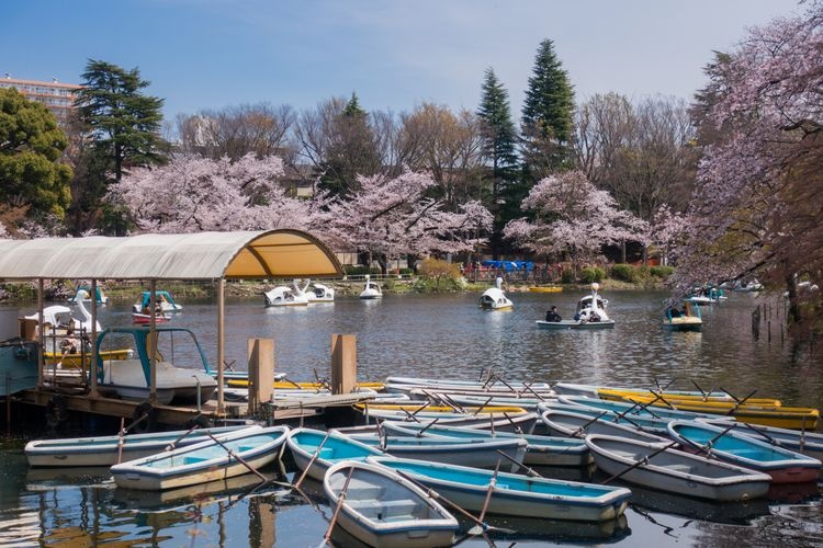 Tourist destination images of Kichijoji(2)