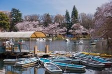 Tourist destination images of Kichijoji(2)
