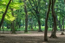 Tourist destination images of Inokashira Park(3)