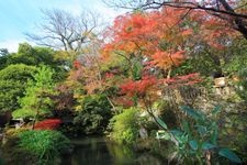 Tourist destination images of Jindaiji Temple(3)