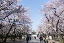 Tourist destination images of Yasukuni Shrine(2)