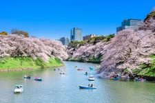 Tourist destination images of Chidorigafuchi Green Way(3)