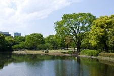 Tourist destination images of Chidorigafuchi Green Way(7)