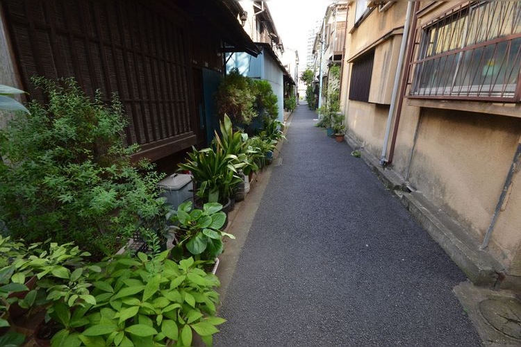 Yanaka Ginza Shopping Street