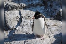 Tourist destination images of Kasai Rinkai Aquarium(2)