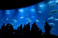 葛西臨海水族園的觀光地圖片(2)