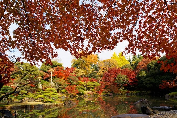 Kyū Furukawa Garden