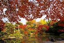 Tourist destination images of Kyū Furukawa Garden(1)