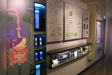 目黒寄生虫館の観光地画像(2)